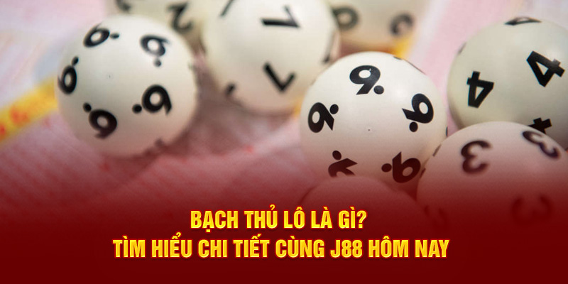 Bạch thủ lô là gì